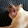 Michael Nicholson Michael Nicholson's profile photo