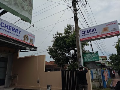 Photos of Cherry Petshop