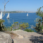 From Chowder Head lookout (261791)