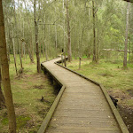 Northern Crosslands boardwalk (330236)