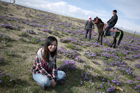 young woman sitting amongst flowers and a young man riding a horse near Qinghai Lake