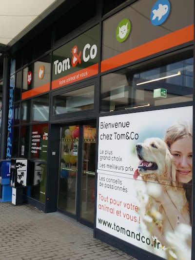 Photos of Tom & Co