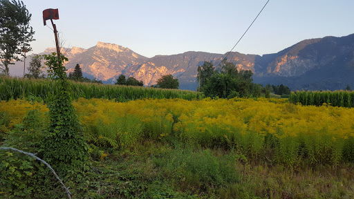 Camping Belvedere