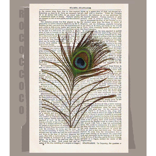 A peacock feather on a page of the dictionary framed as artwork.