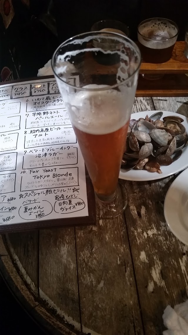 Vector Beer