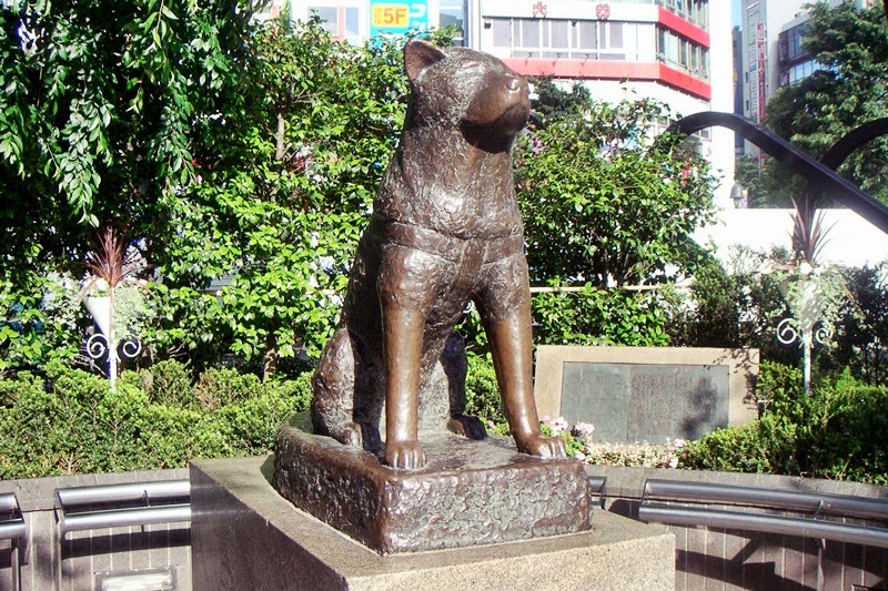 Хатико статуя в японии на станции сибуя