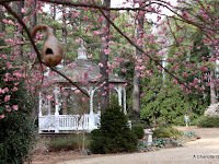 Cape Fear Botanical Garden Fayetteville