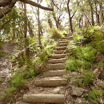 Timber steps on west side of Jenolan Caves Rd (417551)