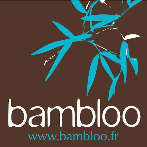 bambloo Vaise logo