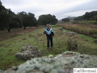 Buscando piedras 4