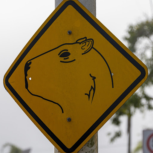 マスク依存症 マスク依存症 の人が急増中 実はこんなに深刻だった News News ニュース