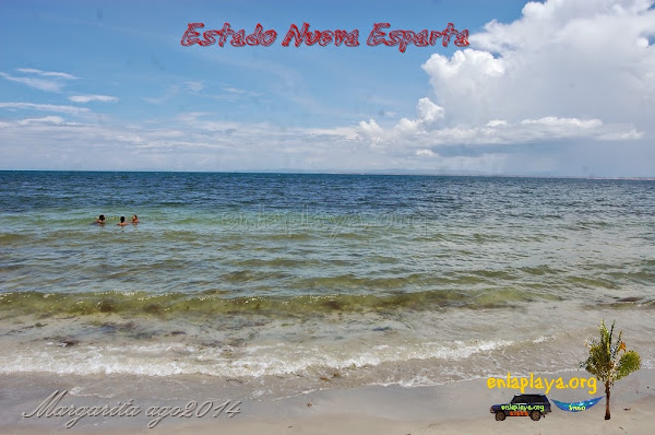 Playa Musipan NE130, Estado Nueva Esparta, Municipio Tubores