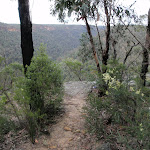 Glimpse of Pisgah Rock (143688)