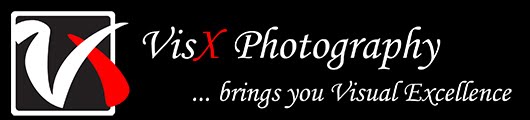 Vis X Photography Blog