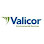Valicor Environmental Services company logo