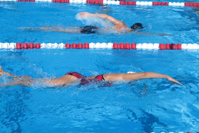 NSSC Dolphin Swim!