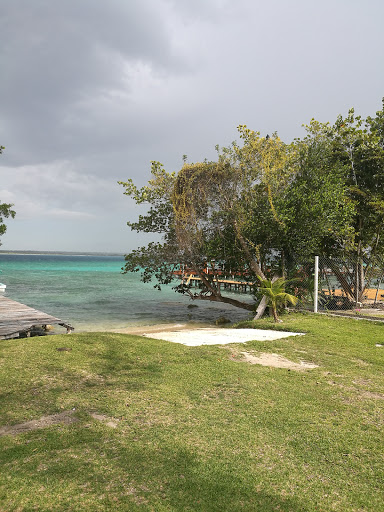 Venado Azul Bacalar, Avenida 5, 1239, Mario Villanueva Madrid, 77930 Bacalar, Q.R., México, Agencia de excursiones en barco | QROO