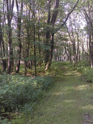 Nature Preserve «Reinstein Woods Nature Preserve», reviews and photos, 93 Honorine Dr, Depew, NY 14043, USA