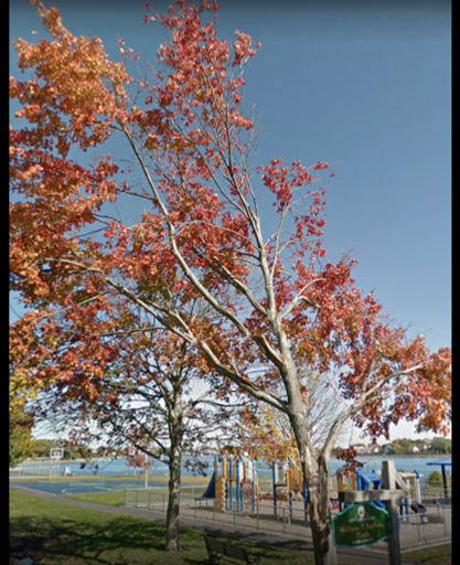 Park «Furlong Park», reviews and photos, Franklin St, Salem, MA 01970, USA