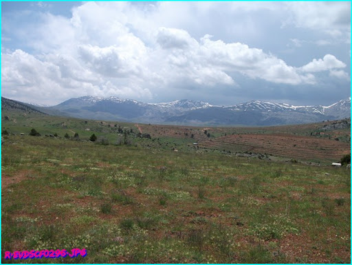 DSCF0296.JPG
