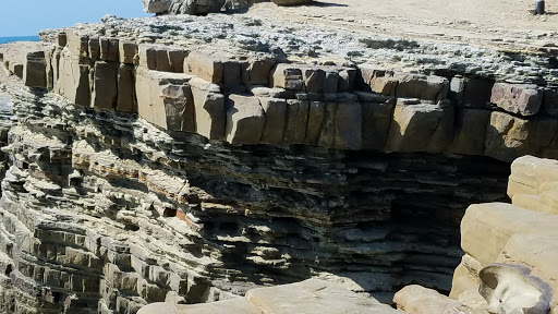 National Park «Point Loma Tide Pools», reviews and photos, 1800 Cabrillo Memorial Drive, San Diego, CA 92106, USA