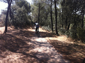 Ruta en bici por los senderos del Pardo, junio 2012