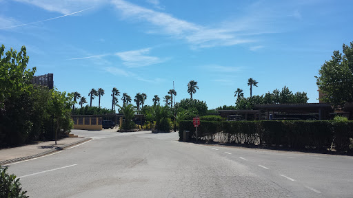 Camping La Ballena Alegre