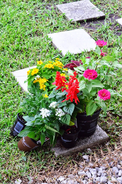 How to Create Outdoor Potted Floral Arrangements from SewWoodsy.com #gardening #diy