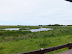 View across Minsmere