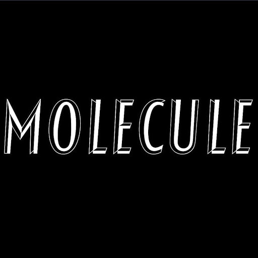 Molecule logo
