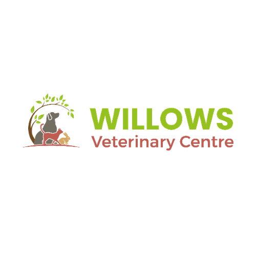 Willows Veterinary Centre, South Shields Surgery