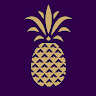 Writer: Ananas Kids
