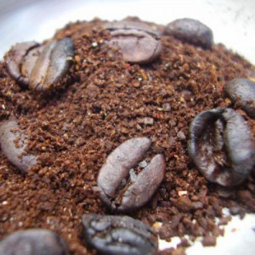 Top 10 Awesome Facts About Coffee