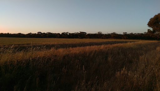Bluff Knoll