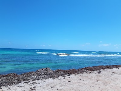 Photos of Cenote Encantado-1320