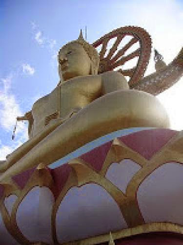 The Buddha Turns 2 600 In 2011