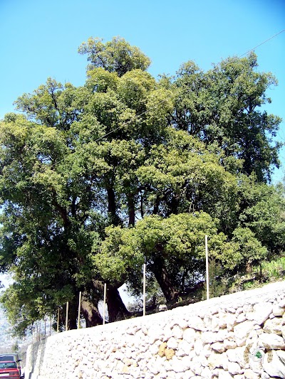 Photos of مقبرة اسلامية