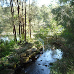 Fish ladder on the Lane Cove River (383588)