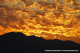 Vivid and Vibrant Evening Sky at Kaziranga - 5