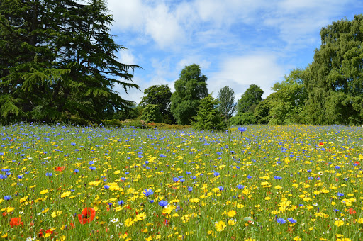 Botanical garden