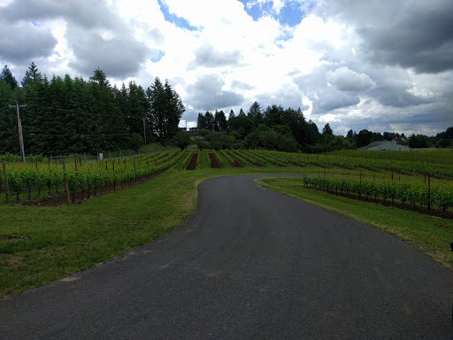 Winery «Trisaetum Winery», reviews and photos, 18401 NE Ribbon Ridge Rd, Newberg, OR 97132, USA