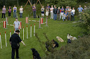 Hondenshow en barbecue