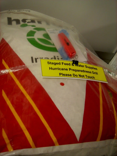 Урологи. Мыши. Девушка. 