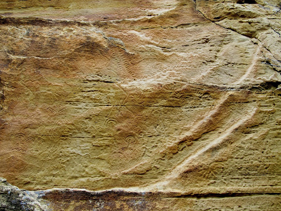 Petroglyphs covering the sandstone