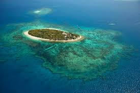 sinking island 이미지 검색결과