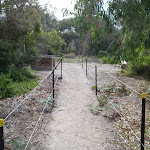 Track to beach Saltwater Creek camping area (105916)