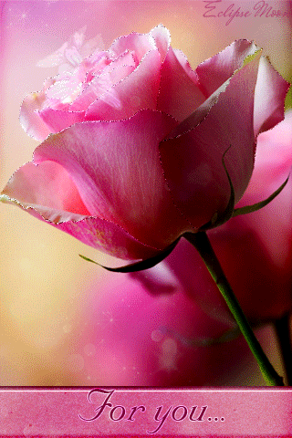 ..0_de3b7_77648009_orig.gif