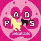 Pad's Pets at Dot’s