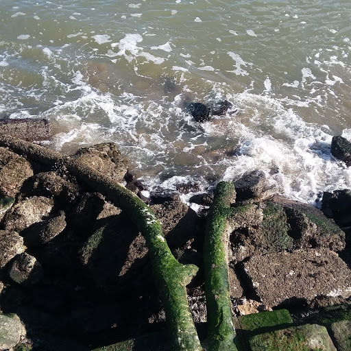 Tourist Attraction «The Wave Organ», reviews and photos, 83 Marina Green Dr, San Francisco, CA 94123, USA