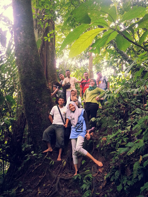 Hutan Lider
